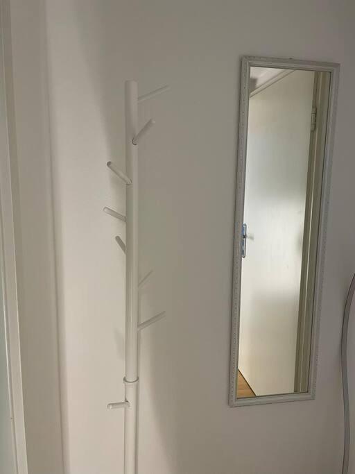 Ferienwohnung Erfurt Domplatz Dış mekan fotoğraf